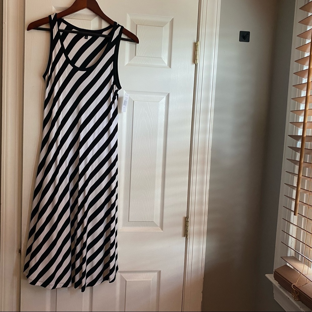 NWT Sleeveless maxi dress